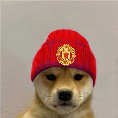 xaio547705's profile picture