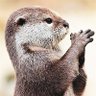 Profilbild von web3nb