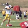 #1 Steelers Fan! 的头像