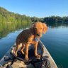 Mike Mishark profil fotoğrafı