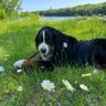 Profilbild von Trina Bean