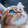 Lily's profile picture