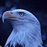 ana men's profile picture