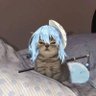 𝔹𝕖𝕟𝕚𝕞𝕒𝕣𝕦's profile picture