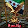 نظام الدين حموي profil fotoğrafı
