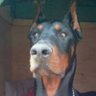 Ares's profile picture