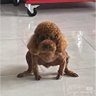 sunki 的头像