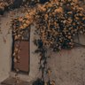 حوريا profil fotoğrafı