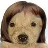 Profilbild von Mili Bijubi 777