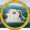 Фото профиля DK.DoggieKing