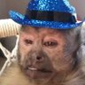 Profilbild von samloco18