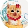 ชลน แมวส้มแท้ๆ 🐱 ทั้งหัวใจมีแต่หมาแดง 的头像