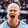 ManCity Fan 的头像