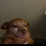 Kamohelo's profile picture