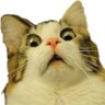 Profilbild von Eury Cooky