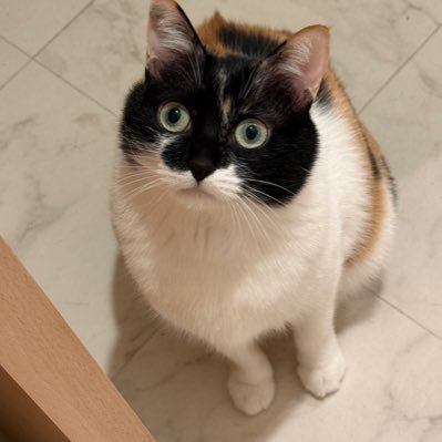 雷十太先生's profile picture