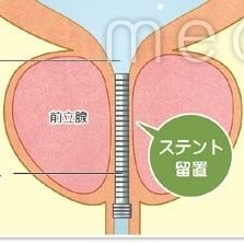 Abdl_Stent_K's profile picture