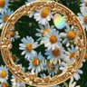 feibaohanbao profil fotoฤrafฤฑ
