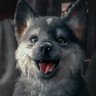Profilbild von horace0816