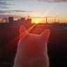 Whammy Bar's profile picture