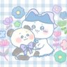 Profilbild von のでこ
