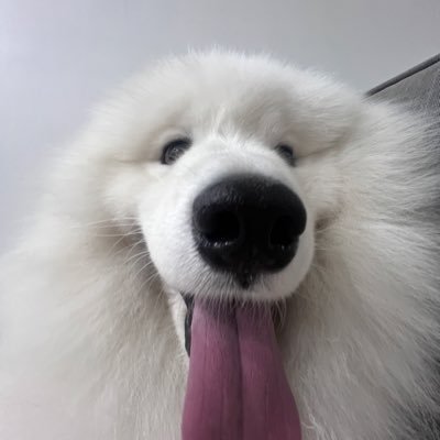 dniepb's profile picture