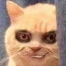 Ma Kim's profile picture