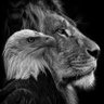 Albert's profile picture