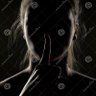 Sandra's profile picture