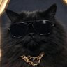 Фото профиля Jimmi FUCK SOCIALISM
