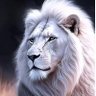 Cheikh Diaw's profile picture