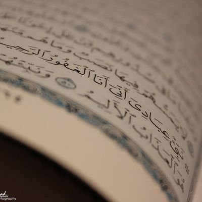 AnashEEd1Quran's profile picture