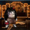 Stray Cat ANTIFAโข's profile picture