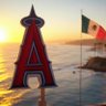 LA Angels Acapulco's profile picture