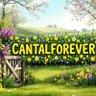 cantalforever 的头像