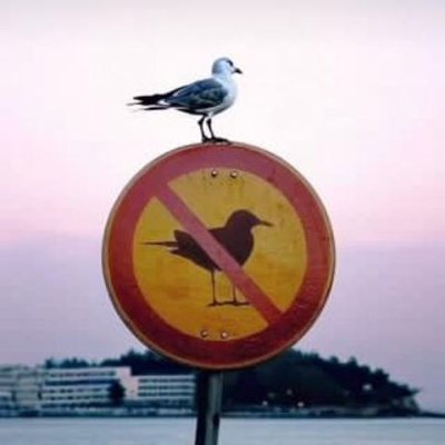 namewithheld_1's profile picture