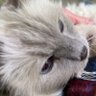 KathyC profil fotoğrafı