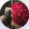 عبير 🕊's profile picture