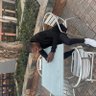 Innocent Motubatse Masemola's profile picture