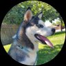 Profilbild von Vfree84