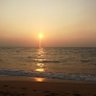 Thushyanthan's profile picture