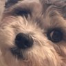 Profilbild von Cara