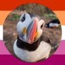Profilbild von bright puffin