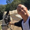 Profilbild von Stefan Saluzzo