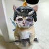 Фото профиля もーたくろう