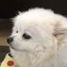 Profilbild von 文海恩典