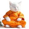 Why Cats are good for the Soul's profile picture