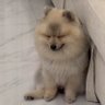 Wuy 👀 的头像