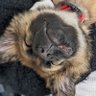Фото профиля Beaver