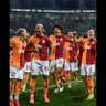 mehmet egin 的头像